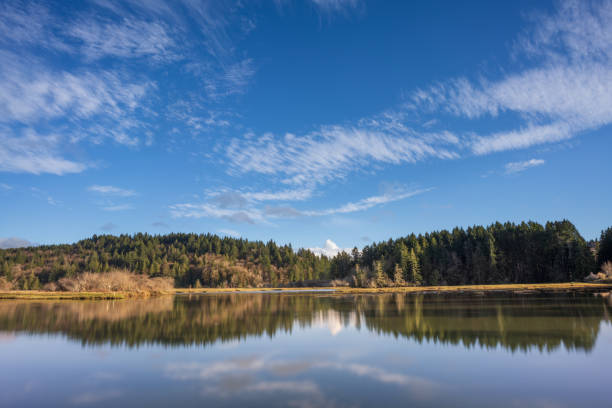 istock Puget Sound Peaceful Waters And Clouds 1211331976