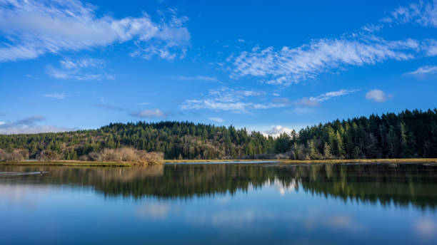 istock Puget Sound Peaceful Waters And Clouds 1211331979