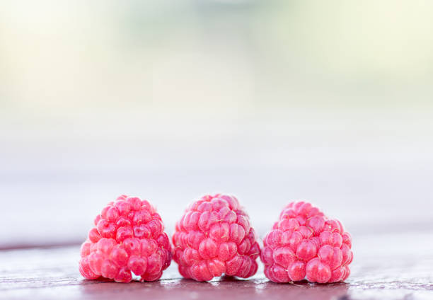Detail of a selection of freshly harvested Fruits of the forest