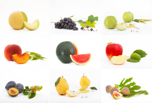 Composition of various fruits on white background. Set of different fruits. Healthy food concept.