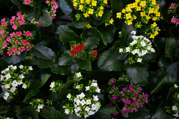 istock Bright background with lots of floral texture. 1211338536