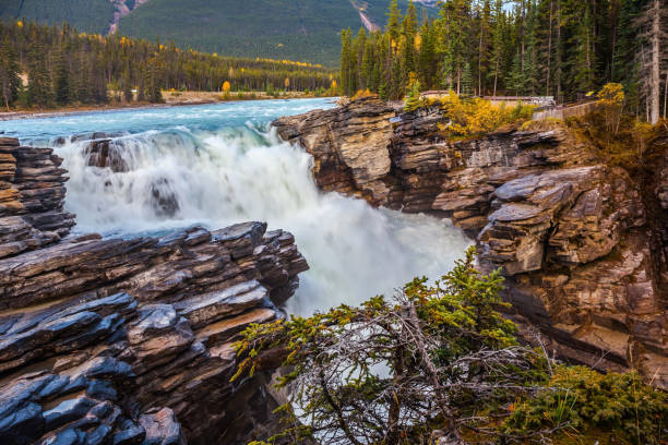 istock Athabasca waterfall in the forests 1211338755