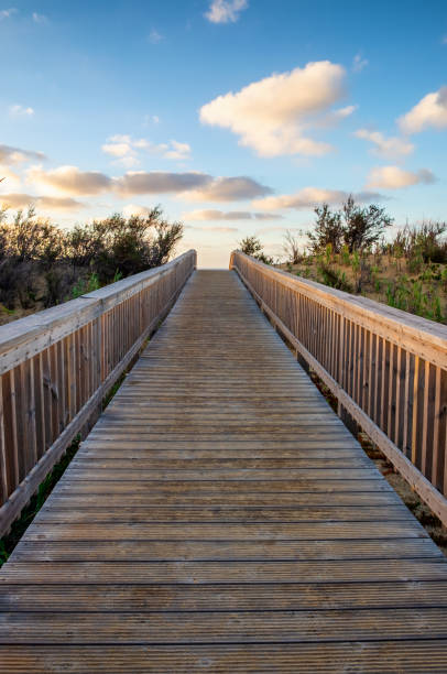 istock Beach Boardwalk At Dawn, Porto Santo 1211340365