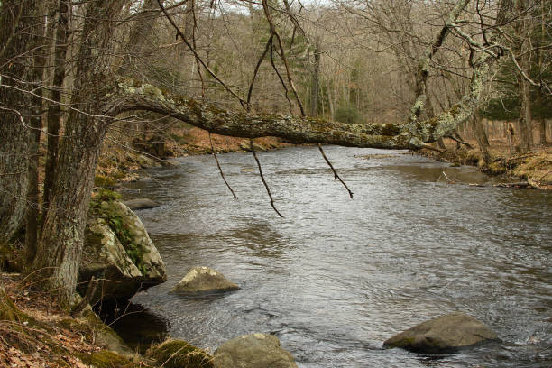 istock New England river in March 1211341972