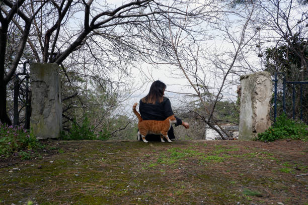 A brunette Turkish woman  sitting alone under a blooming tree and petting a yellow - white stray cat in a spring day. A beautiful natural photo about the love of people and animals. Shot from behind.