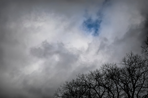 As winter hands over to spring, the mad March winds set in and the clouds gather. A line of bare trees heightens the drama. Dramatic, cloudy background scene.