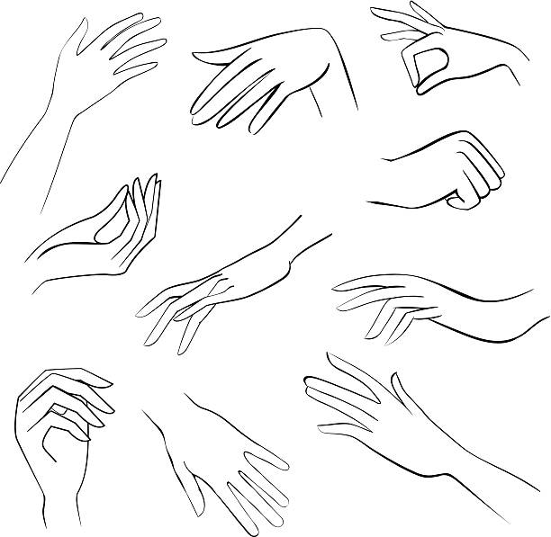 Ilustración de Conjunto De Mujer Manos Boceto y más Vectores Libres de Derechos de Contorno - Contorno, Mujeres, Adulto - iStock Ilustración de Conjunto De Mujer Manos Boceto y más Vectores Libres de Derechos de Contorno - Contorno, Mujeres, Adulto - iStock