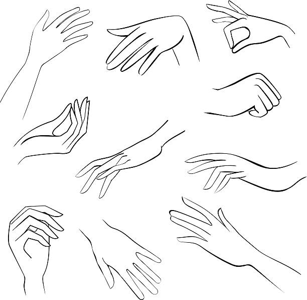 Phác Thảo Bộ Bàn Tay Người Phụ Nữ Hình minh họa Sẵn có - Tải xuống Hình ảnh  Ngay bây giờ - Nữ, Đường đồng mức, Bàn tay con người - iStock