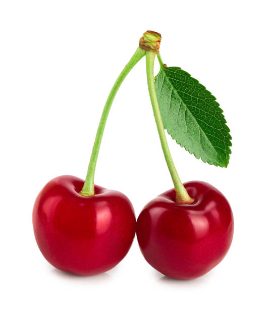 istock Two cherries with leaf closeup isolated on white background 1211352615