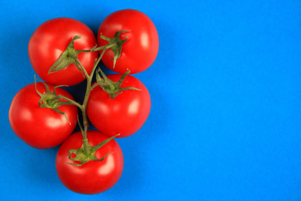 istock Top view of  tomatoes branch on blue background. 1211356290