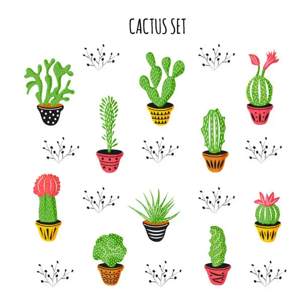 Vector illustration of Set of different color cactus isolated on white background with text.