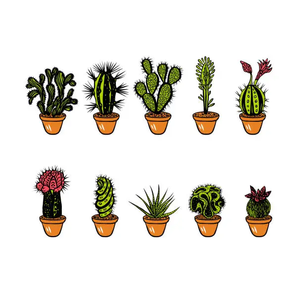 Vector illustration of Set of different color cactus isolated on white background.