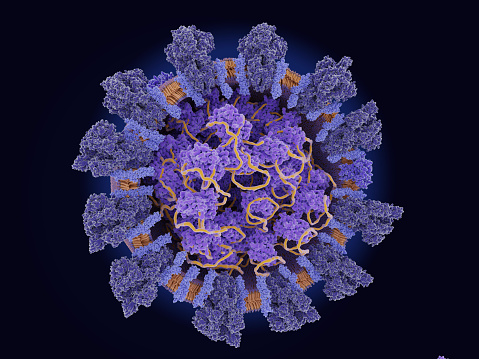 Estructura del coronavirus, SARS-CoV-2 photo