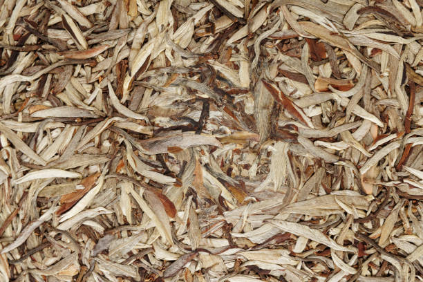 istock Chinese pu erh tea close-up, background 1211364608