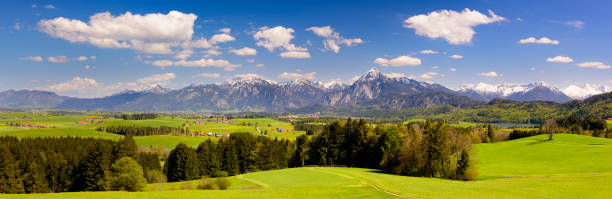 istock panoramic landscape with meadow and lake in front of alps mountains 1211364729