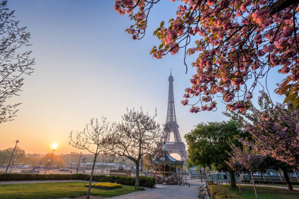 istock Eiffel Tower with spring trees in Paris, France 1211365328