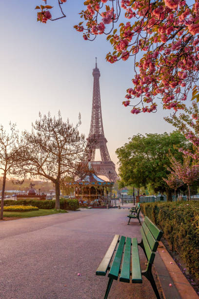 istock Eiffel Tower with spring trees in Paris, France 1211365340
