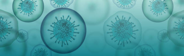 冠狀病毒橫幅插圖 - 微生物學和病毒學概念 - - 摄影 圖片 個照片及圖片檔