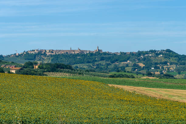 istock Rural landscape near Treia, Marches 1211372616