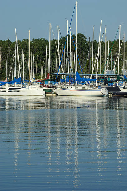 istock Sailboats in a Marina 121137362