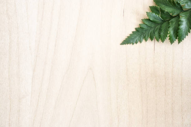 Green flat lay palm leaf branches on white wooden planks background. Room for text, copy, lettering.