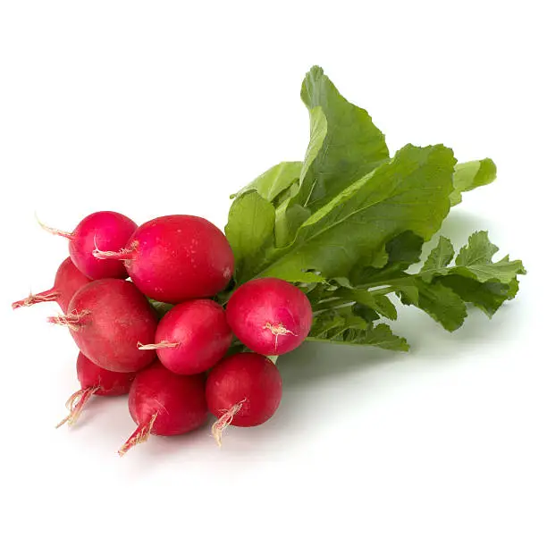 Small garden radish on white background