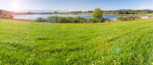 istock panoramic landscape with meadow and lake in front of alps mountains 1211375998