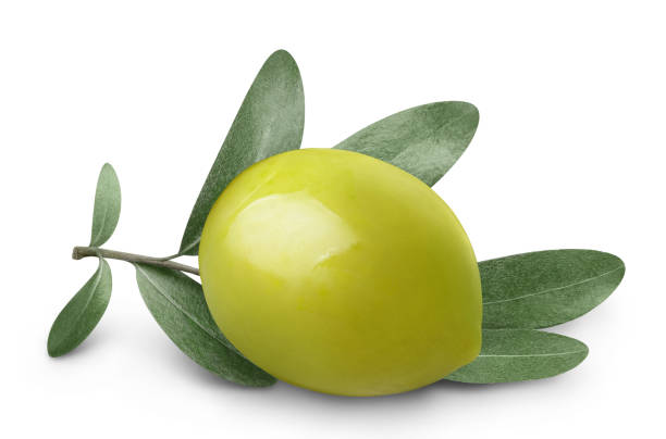 primer plano de la aceituna verde con rama de olivo sobre blanco - aceituna verde fotos fotografías e imágenes de stock
