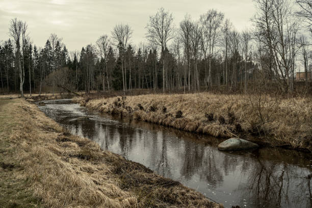 istock picturesque river in forest in autumn 1211377018