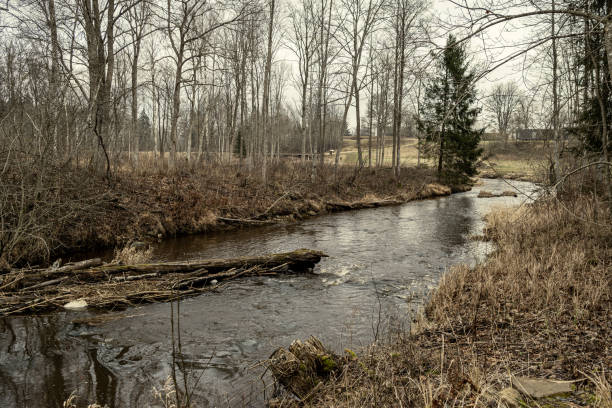 istock picturesque river in forest in autumn 1211377053