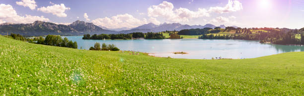 istock panoramic landscape with meadow and lake in front of alps mountains 1211377724