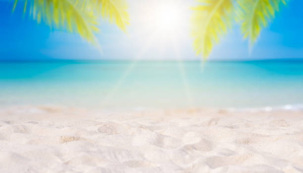 istock Summer vacation white sand beach with space for text coconut leaves rear frame sea view energetic floor 1211380790