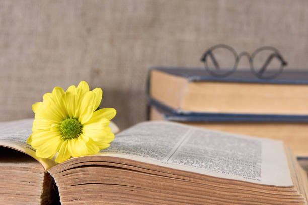 istock Yellow chrysanthemums, an old book, and glasses on the table. 1211380894
