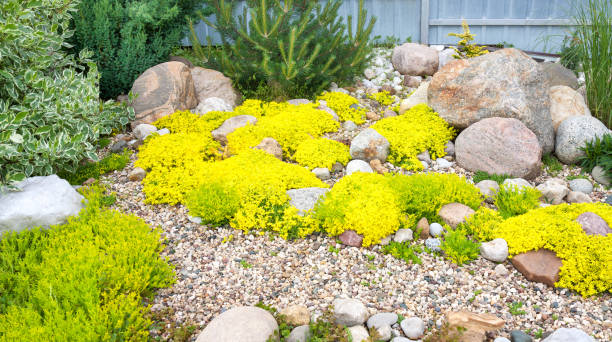 istock panorama of rockery rock garden 1211382002