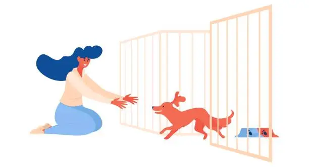 Vector illustration of Pet shelter scene with dog running to girl out of cage. Happy animal and woman