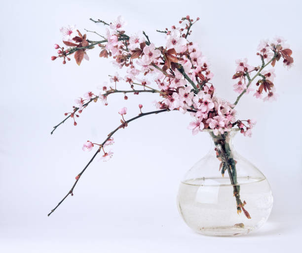 istock Fresh pink blossoms in vase 1211382392