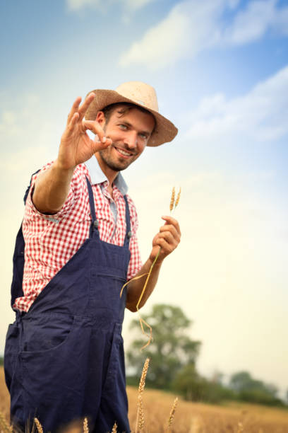 istock Farmer with straw hat standing wheat field 1211385063