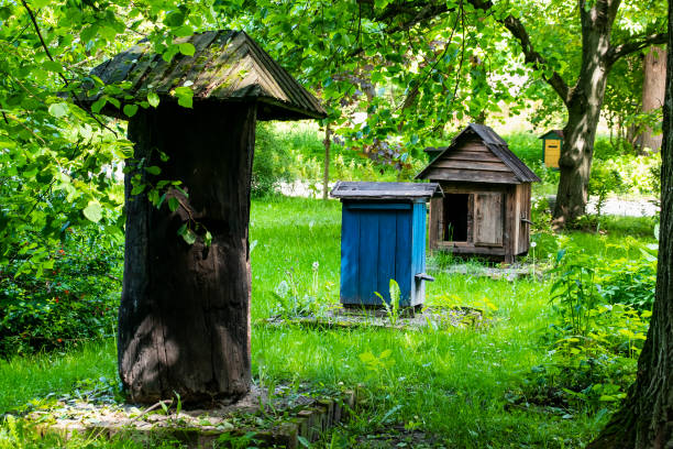 istock Few old beehives in the city park 1211385484