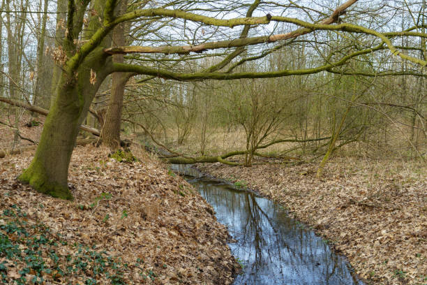 istock hiking at a small river in germany 1211386281