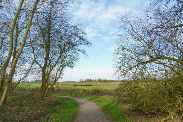 istock hiking at a small river in germany 1211386686