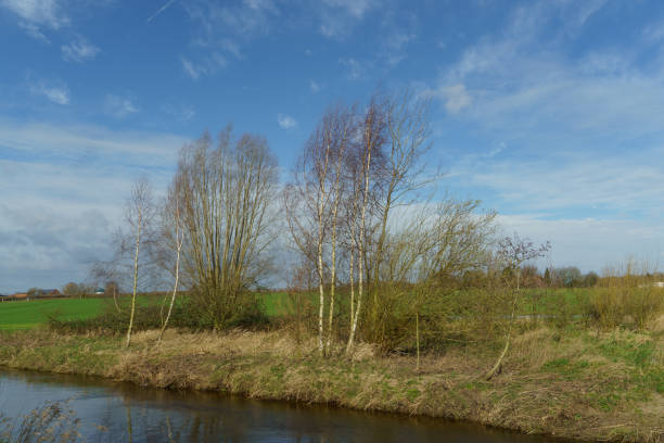 istock hiking at a small river in germany 1211386850