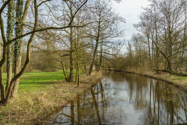 istock hiking at a small river in germany 1211387188