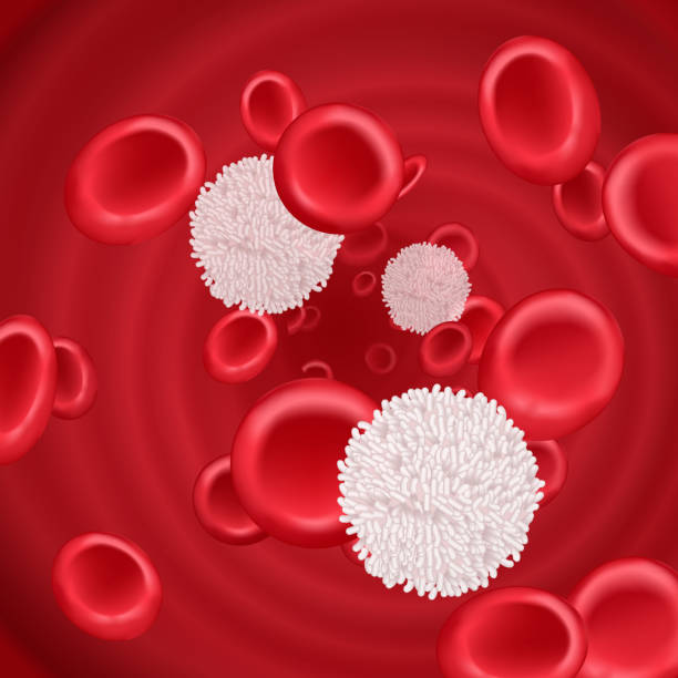 ilustrações de stock, clip art, desenhos animados e ícones de hemoglobin and white blood cells lymphocytes in blood plasma vector - blood cell anemia cell structure red blood cell