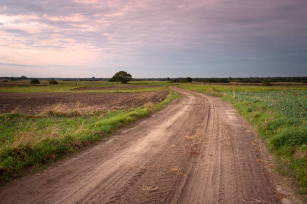istock Sandy road through fields and evening dark clouds on the sky 1211388662
