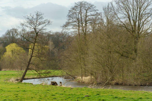 hiking at a small river in germany