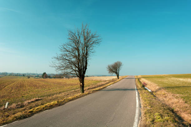 istock Trees and fields by the asphalt road, nice blue sky 1211388761