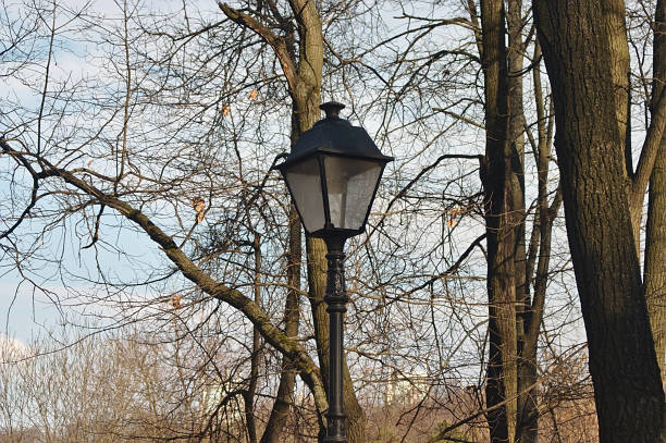 istock lantern among the trees in the park 1211388924