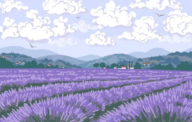 Vector illustration of Nature Scene with lavender Field, Mountains, Clouds in Sky