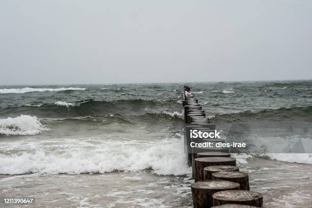 Seagulls And Cormorants On The Wooden Breakwater On A Stromy Day Baltic Sea In Poland Stock Photo - Download Image Now