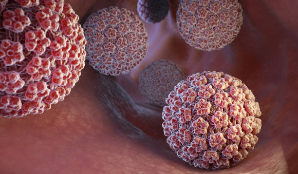 Papilloma Virus. HPV stock photo